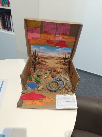 Ve škole máme poušť, ale také deštný les.